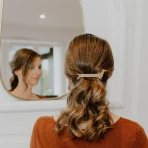 Barrette clip - Teckel