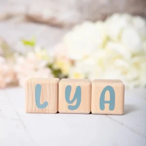 Alphacubes en bois lot de 3 de 5cm x 5cm avec 47 Stickers Gris