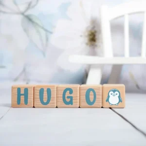 Alphacubes en bois lot de 5 de 5cm x 5cm avec 66 Stickers gris