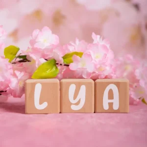 Alphacubes en Bois lot de 3 de 5cm x 5cm avec 47 Stickers blancs