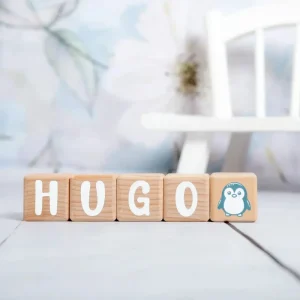 Alphacubes en Bois lot de 5 de 5cm x 5cm avec 66 Stickers blancs