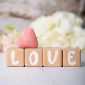 Alphacubes en bois lot de 4 de 5cm x 5cm avec 55 Stickers blancs