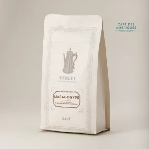 Nicaragua Maragogype