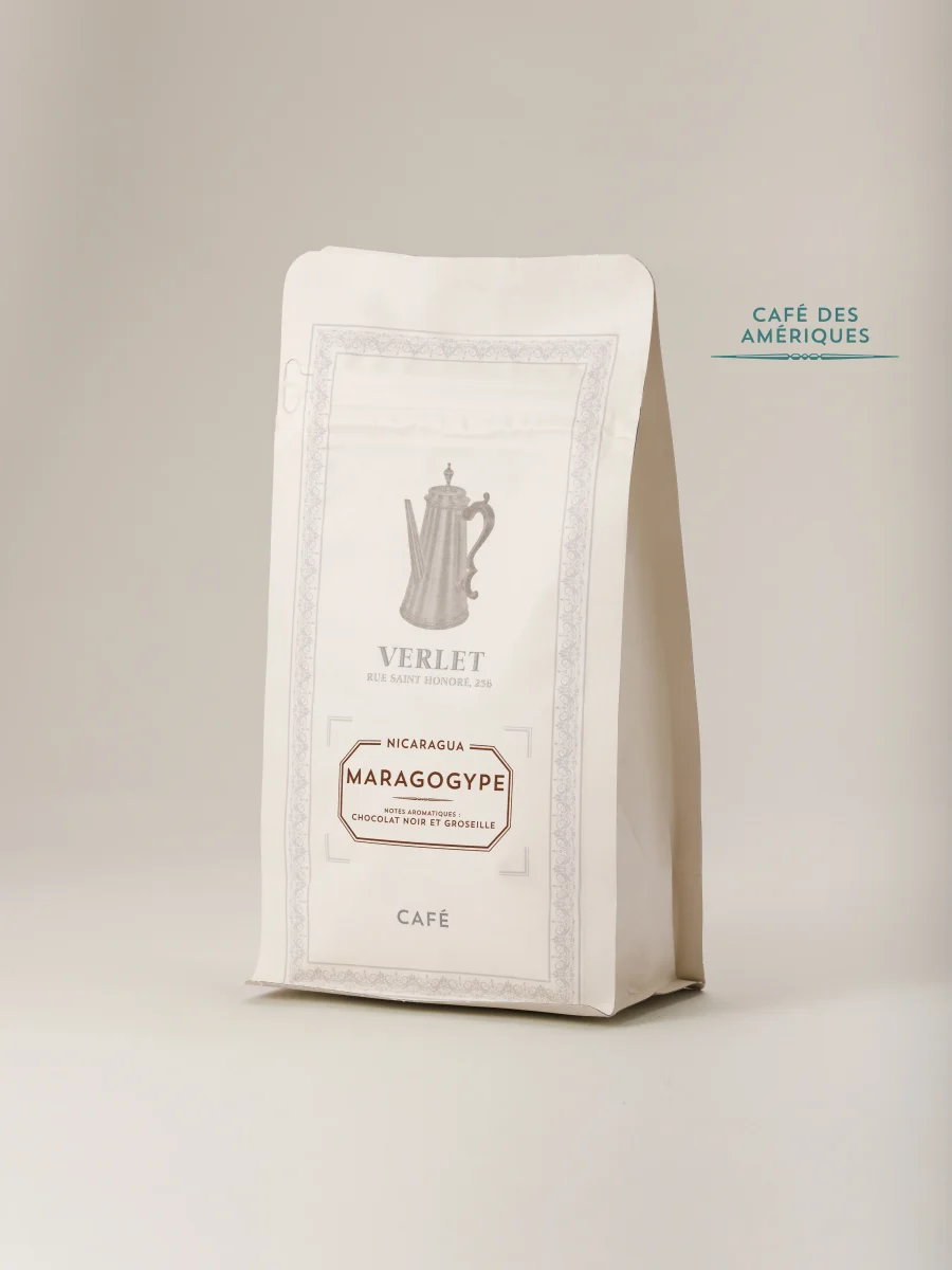 Nicaragua Maragogype