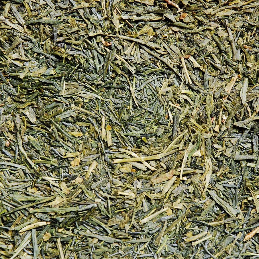 Sencha – Image 3